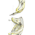banana before after