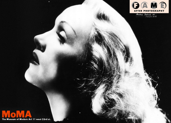 Fame After Photography Ads